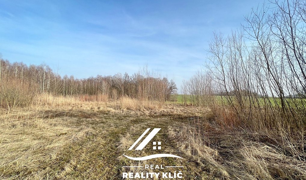 Prodej pole 15 421 m², Markvartovice – náhled fotky 6