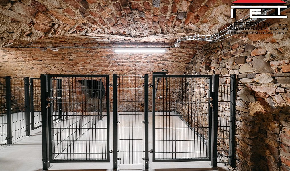Prodej bytu atypického 405 m², Frýdek-Místek – náhled fotky 39