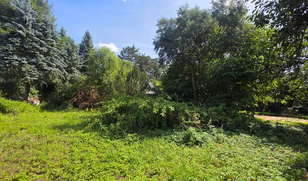 Prodej chaty/chalupy 40 m² s pozemkem 1 119 m², Roblín – náhled fotky 11