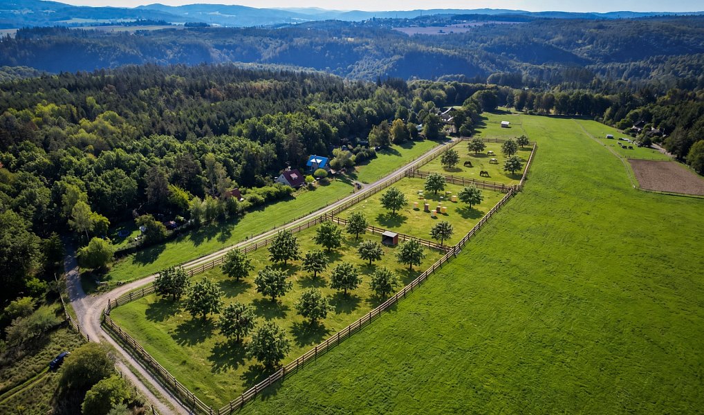 Prodej louky 4 326 m², Klínec – náhled fotky 2