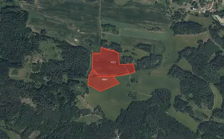Prodej pole 51 244 m², Doubravice - Nahošín, okres Strakonice