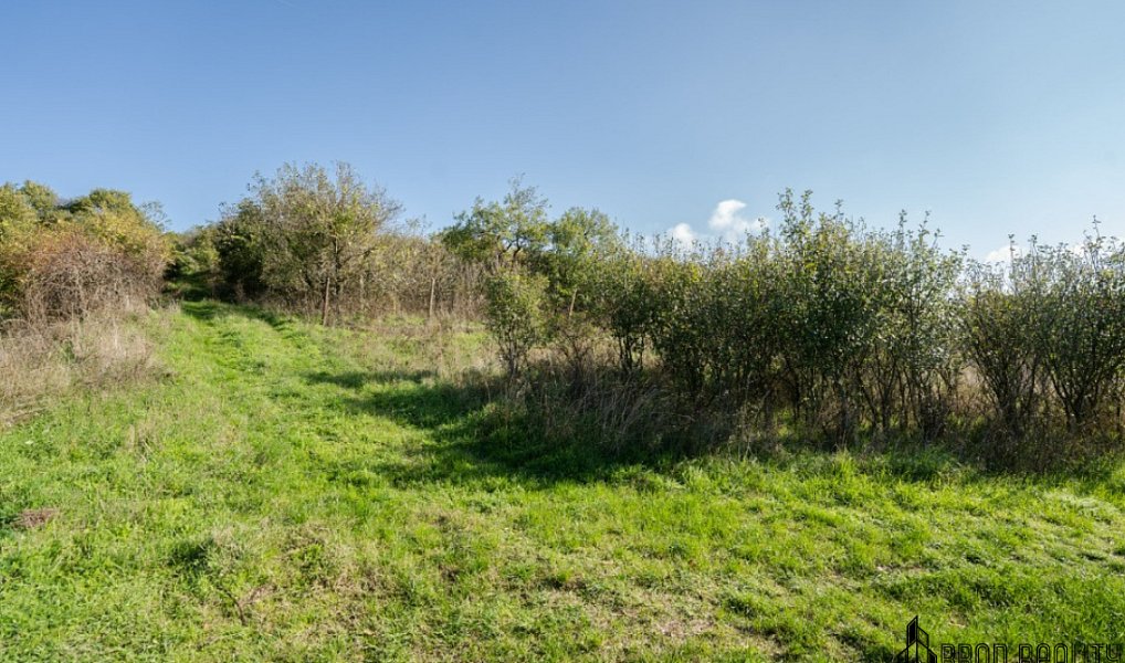 Prodej zahrady 6 601 m², Hrušovany u Brna – náhled fotky 9