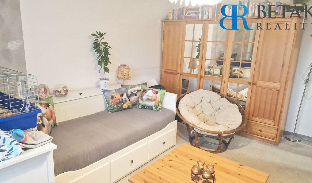 Prodej bytu 2+1 52 m², Přerov – náhled fotky 8
