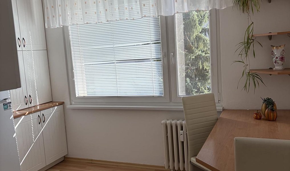 Pronájem bytu 1+1 36 m², Trutnov – náhled fotky 5