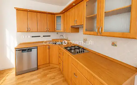 Pronájem bytu 4+1 70 m², F. L. Čelakovského, Most