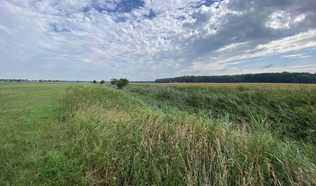 Prodej pole 16 506 m², Lomnice nad Lužnicí – náhled fotky 2