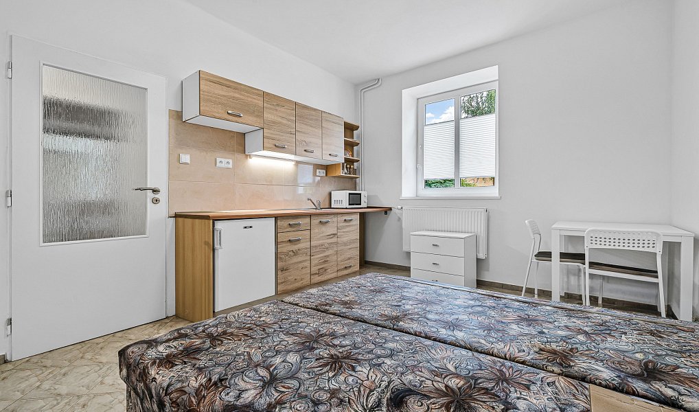 Prodej domu 850 m² s pozemkem 1 600 m², Nový Bor – náhled fotky 16