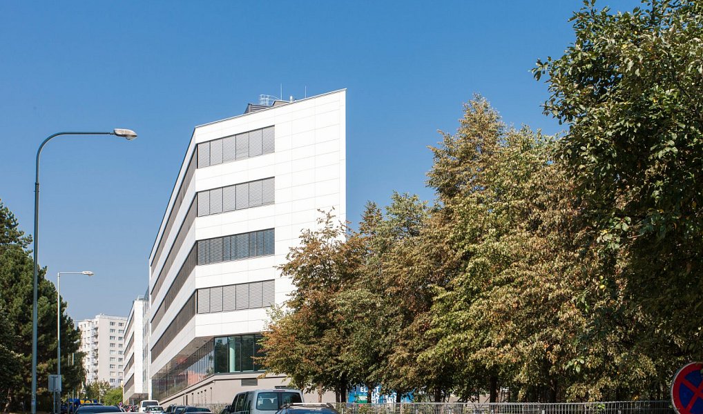 Pronájem kanceláře 902 m², Praha – náhled fotky 10