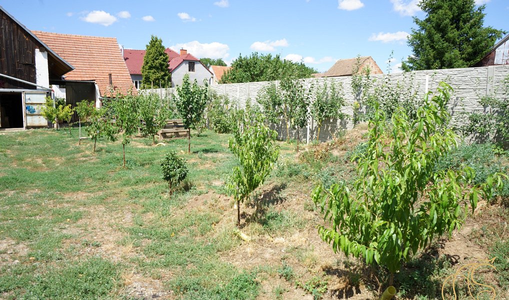 Prodej domu 188 m² s pozemkem 803 m², Našiměřice – náhled fotky 16
