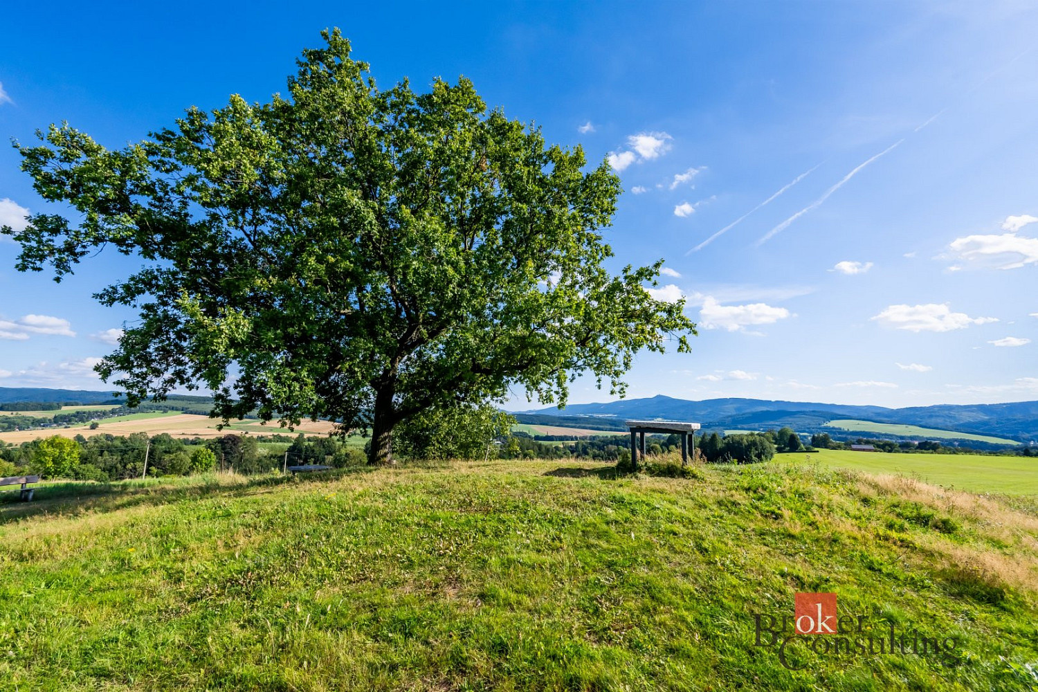 Prodej pole 11 539 m² – pohled 2