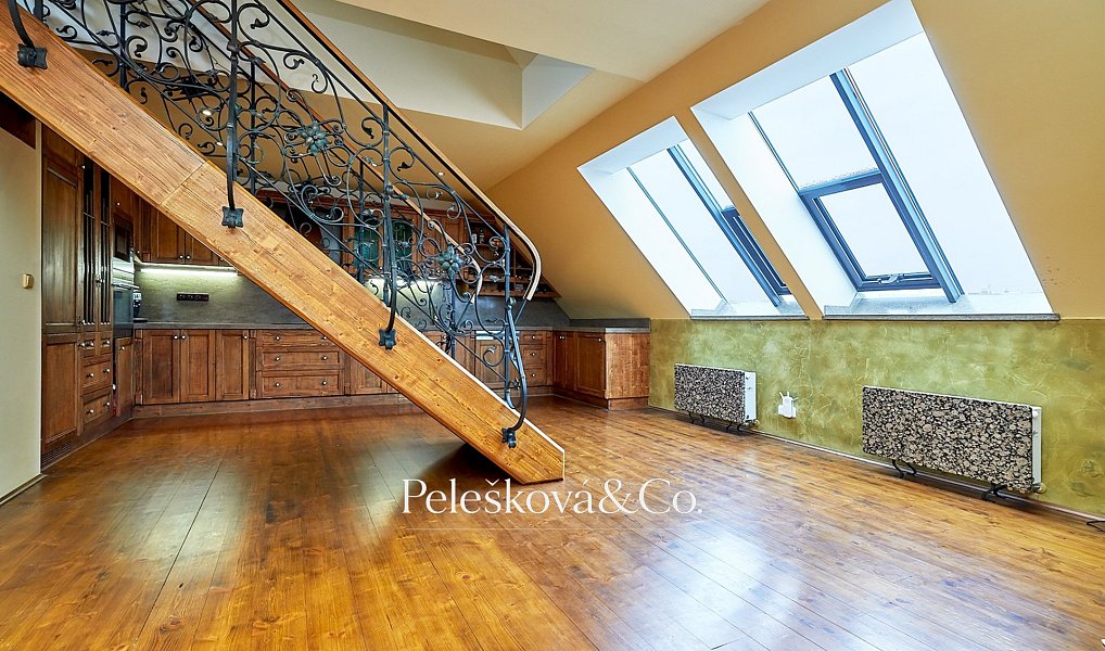 Pronájem bytu 4+kk 177 m², Praha – náhled fotky 4