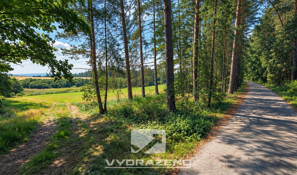 Prodej lesa 1 726 m², Chrášťany – náhled fotky 3