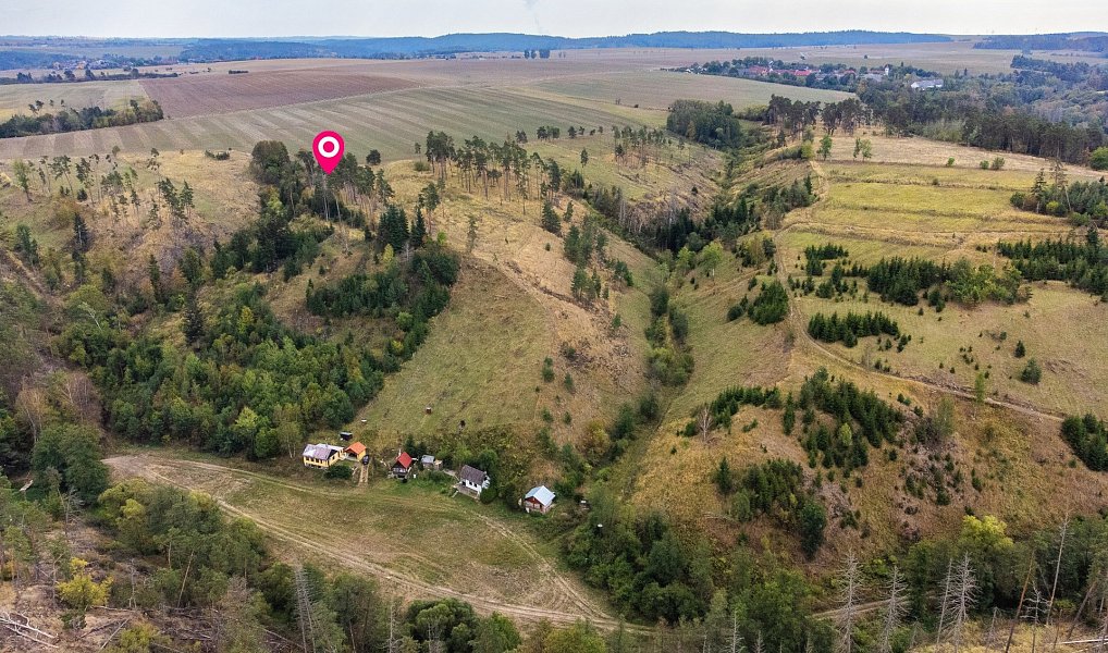 Prodej lesa 15 246 m², Vladislav – náhled fotky 13