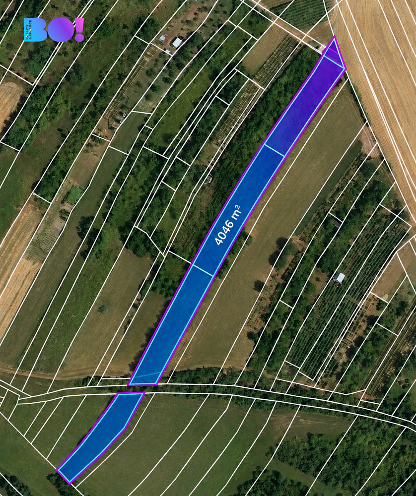 Prodej pole 4 046 m² – fotografie 3