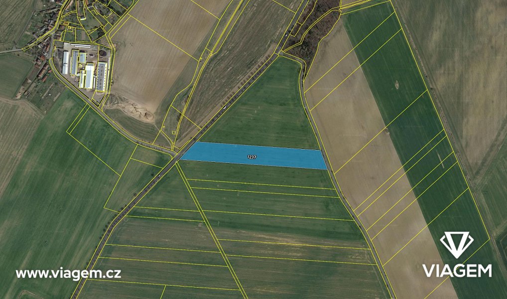 Prodej pole 13 800 m², Opatovice I – náhled fotky 4