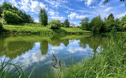 Prodej vodní plochy 25 771 m², Dačice, okres Jindřichův Hradec