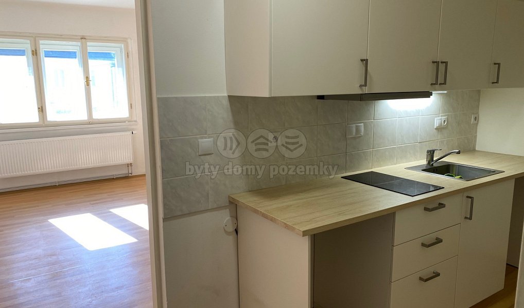 Prodej domu 1 120 m² s pozemkem 671 m², Liběchov – náhled fotky 12