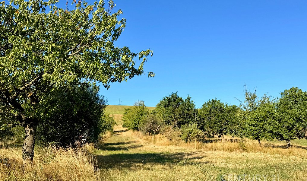 Prodej stavebního pozemku 3 981 m², Nikolčice – náhled fotky 4