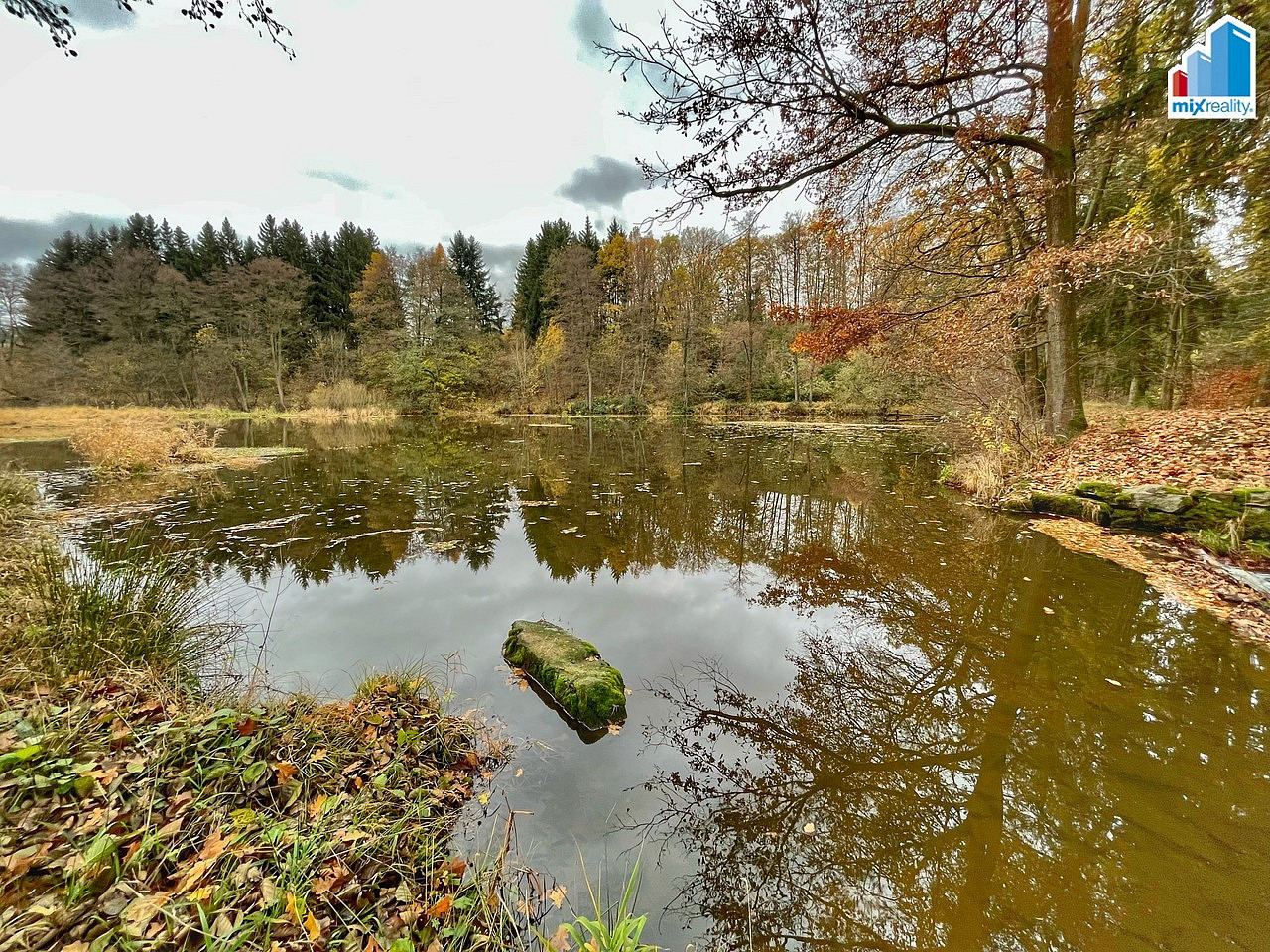 Fotka 6 z 25