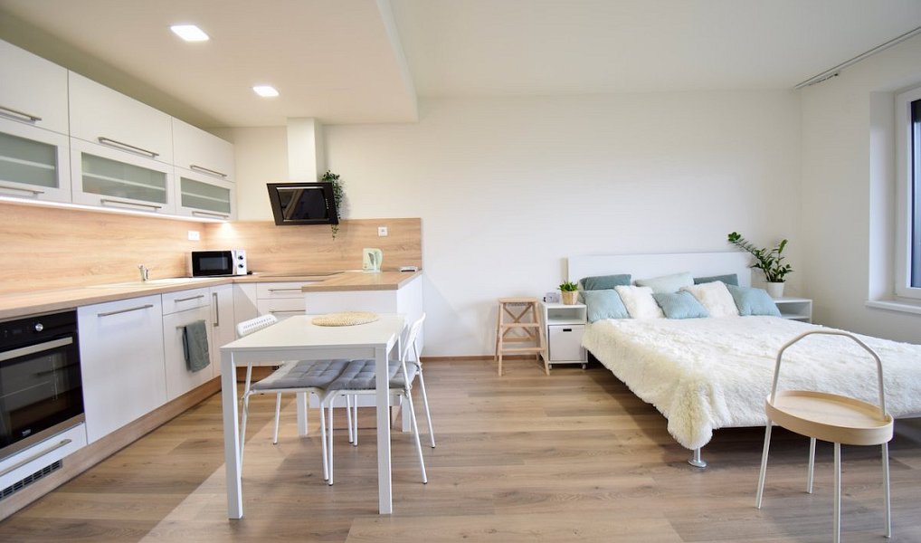 Pronájem bytu 1+kk 41 m², Olomouc – náhled fotky 10