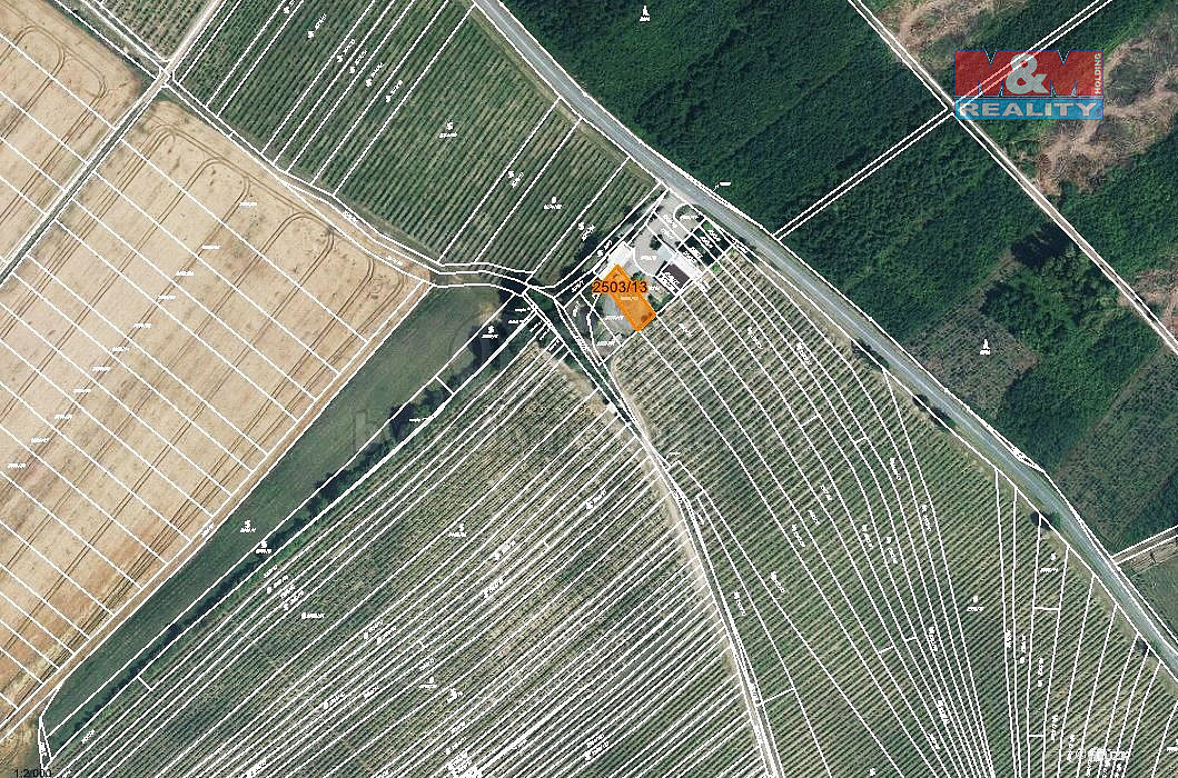 Prodej pole 300 m² – fotografie 3