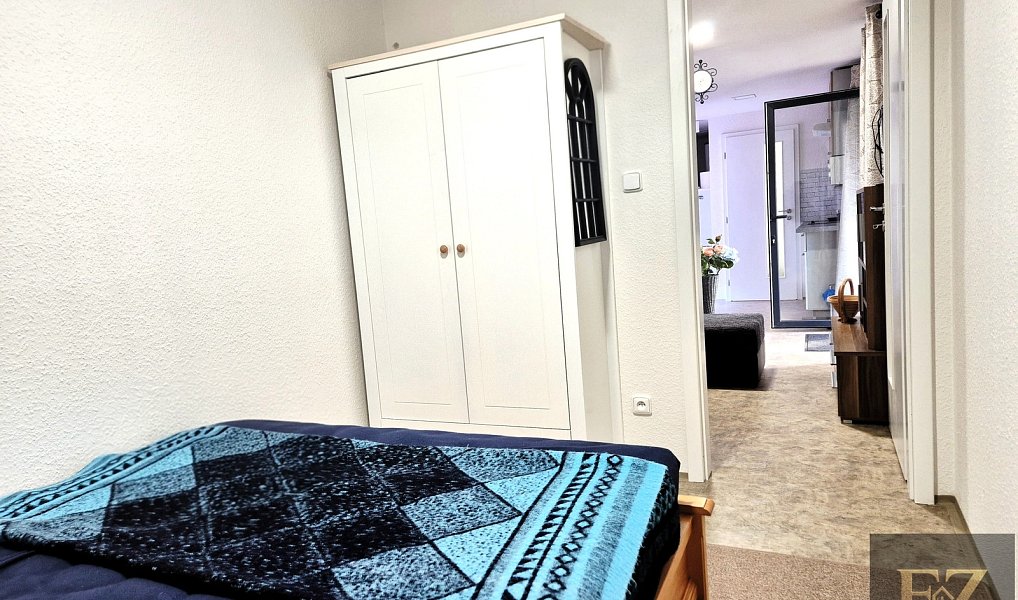 Prodej domu 40 m² s pozemkem 410 m², Planá nad Lužnicí – náhled fotky 11