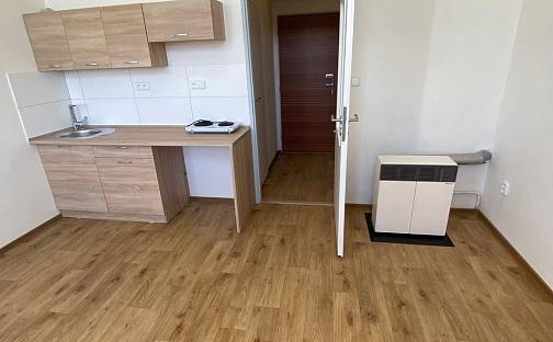 Pronájem bytu 1+kk 21 m², T. G. Masaryka, Kladno