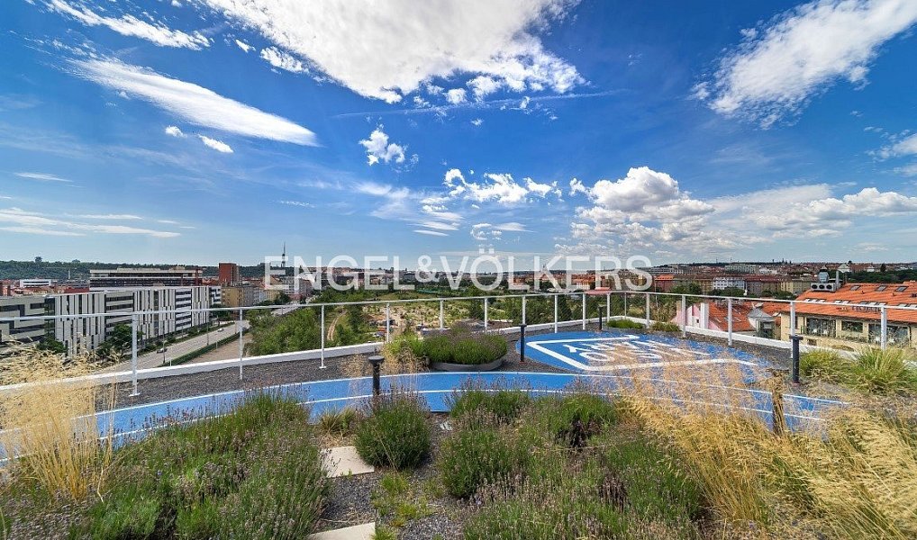 Pronájem kanceláře 595 m², Praha – náhled fotky 5