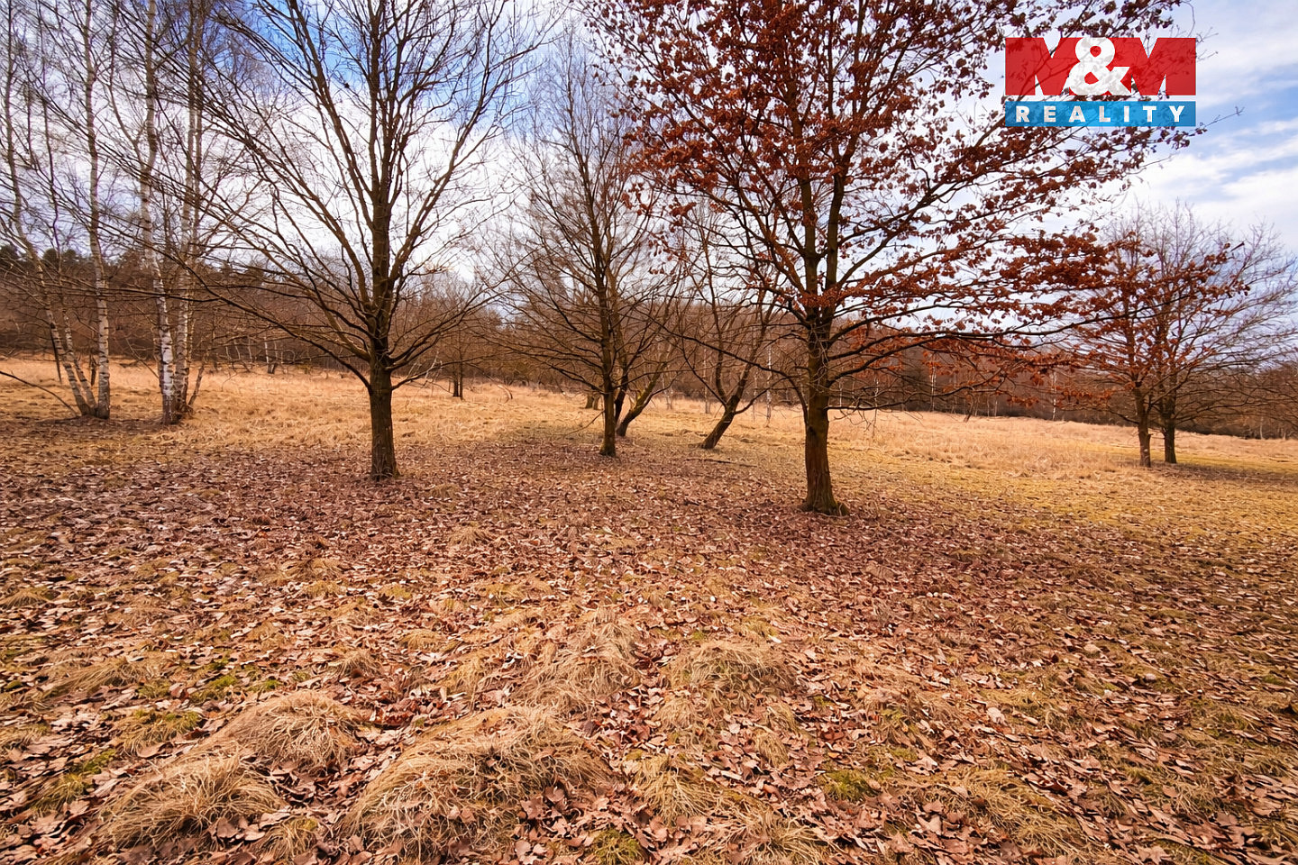 Prodej stavebního pozemku 68 525 m² — photo 4