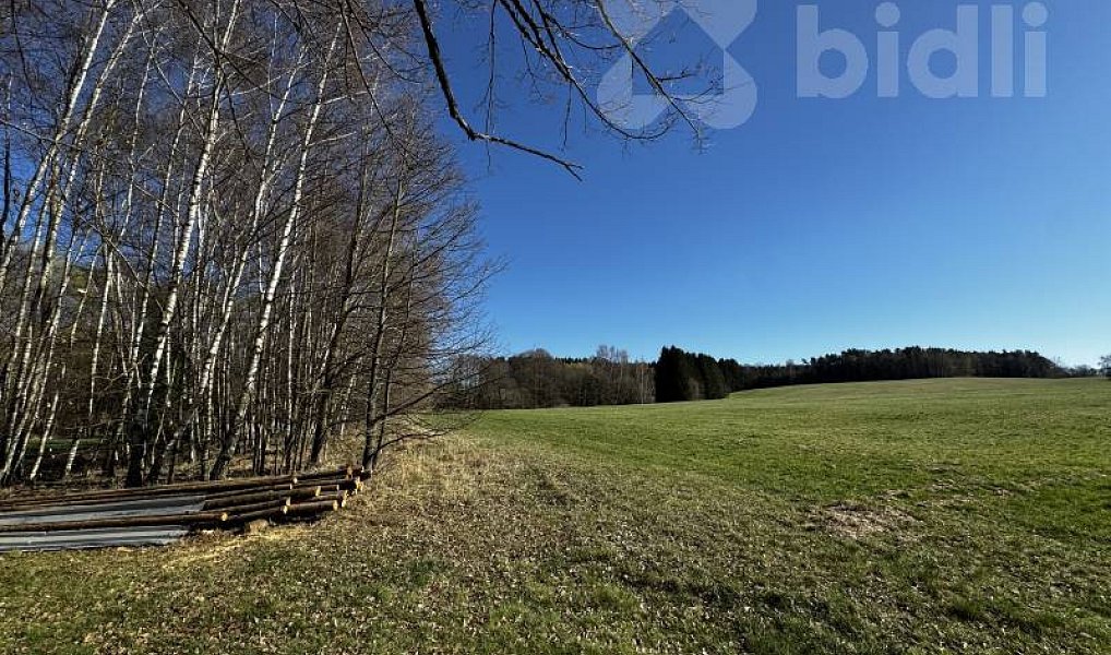 Prodej stavebního pozemku 3 293 m², Horní Stropnice – náhled fotky 11