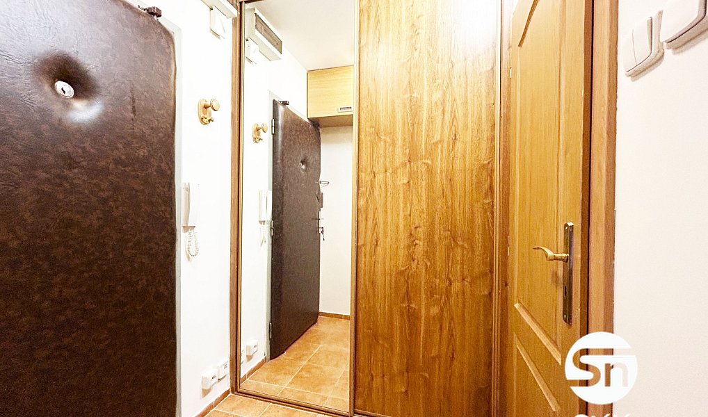 Pronájem bytu 1+1 30 m², Praha – náhled fotky 9