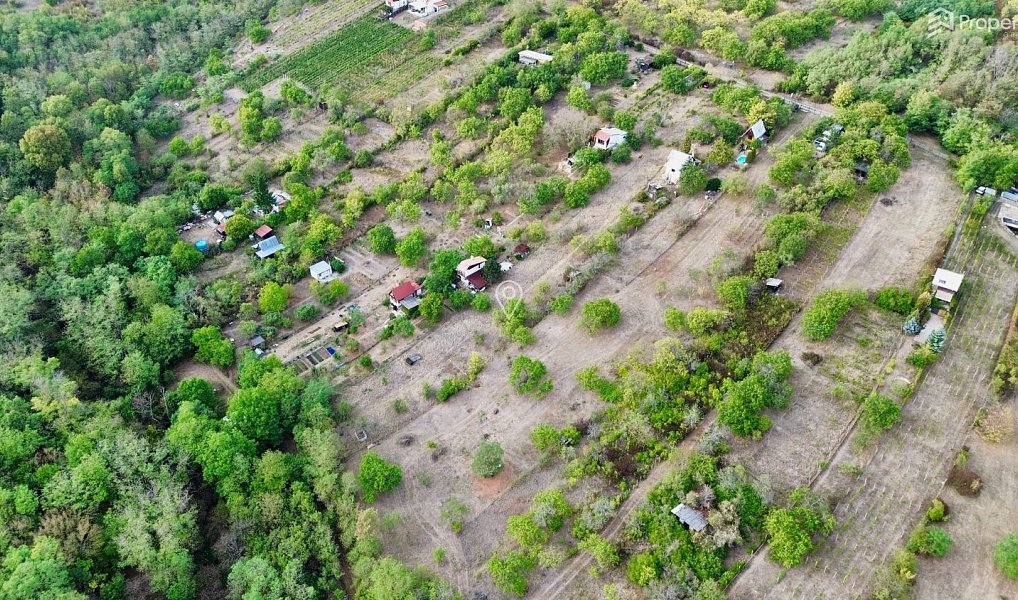Prodej zahrady 985 m², Dolní Kounice – náhled fotky 5