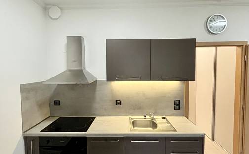 Pronájem bytu 1+kk 34 m², Kryzánkova, Karlovy Vary - Stará Role