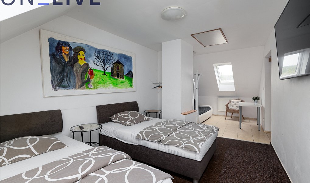Prodej ubytovacího objektu 480 m², Starý Plzenec – náhled fotky 13