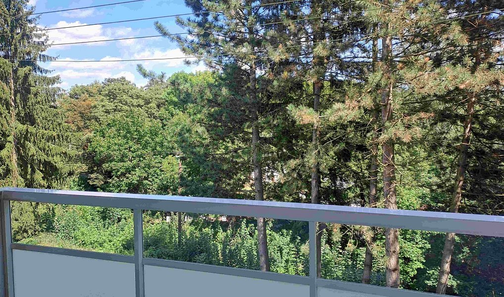 Pronájem bytu 2+1 60 m², Karlovy Vary – náhled fotky 10