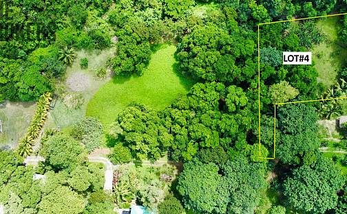 Prodej stavebního pozemku 3 265 m², Coxen Hole, Roatán, Honduras