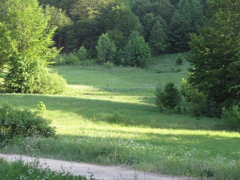 Prodej stavebního pozemku 4 762 m²