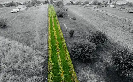 Prodej pozemku 1 237 m², Týnec, okres Břeclav