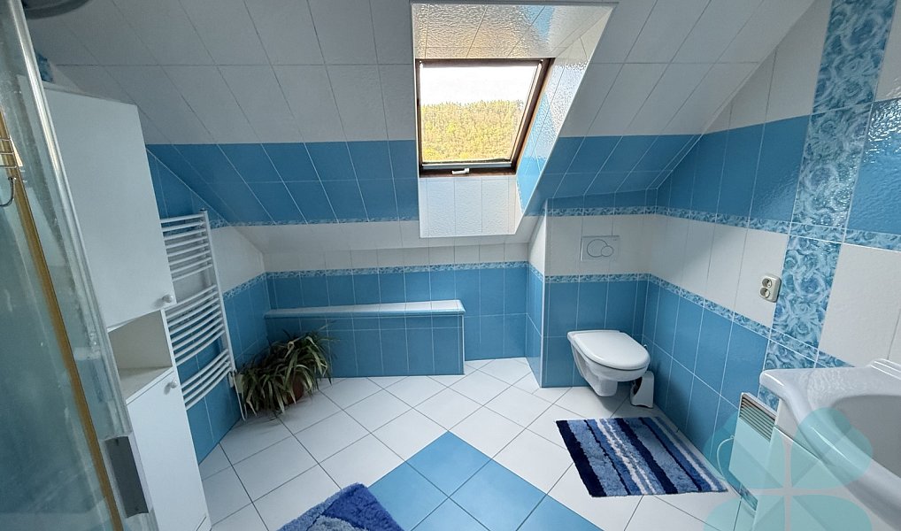 Prodej domu 220 m² s pozemkem 449 m², Radnice – náhled fotky 7