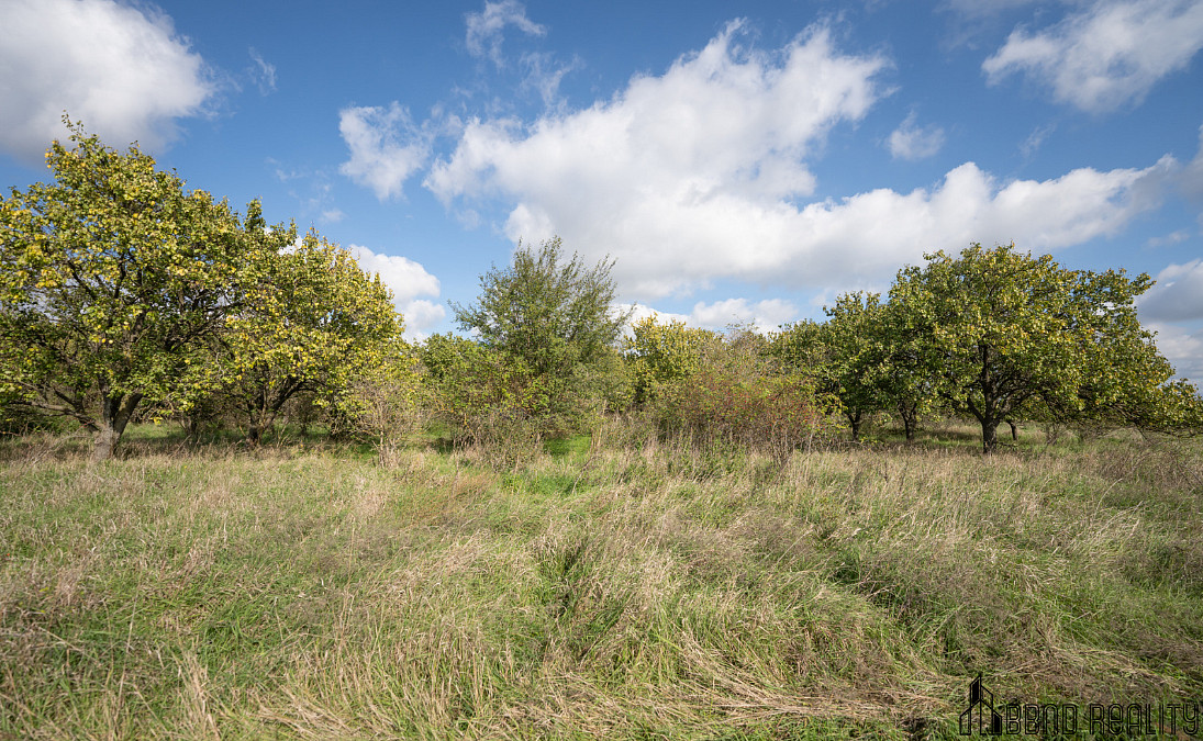 Prodej pozemku 14 896 m² – fotografie 3