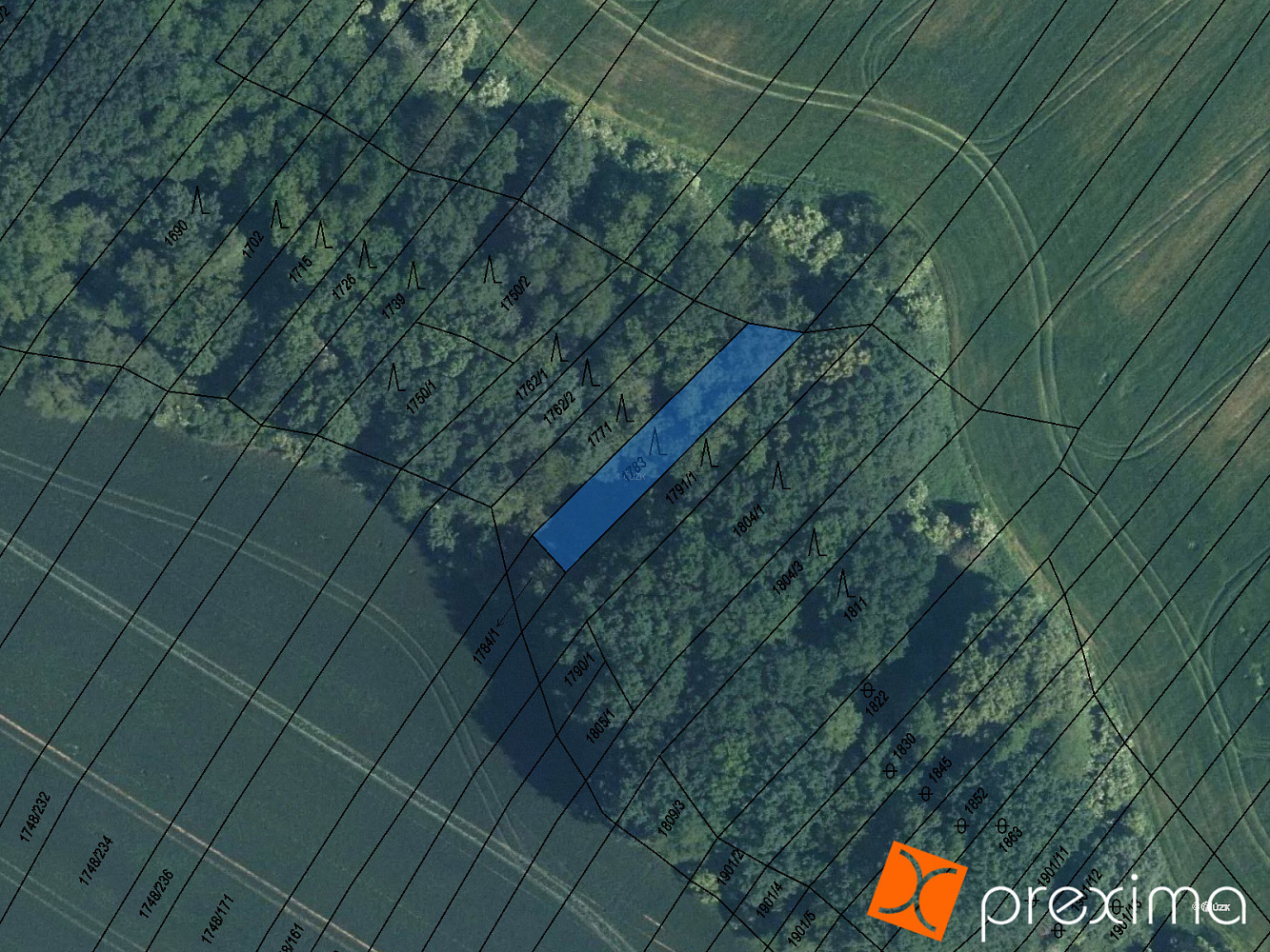Prodej lesa 389 m²