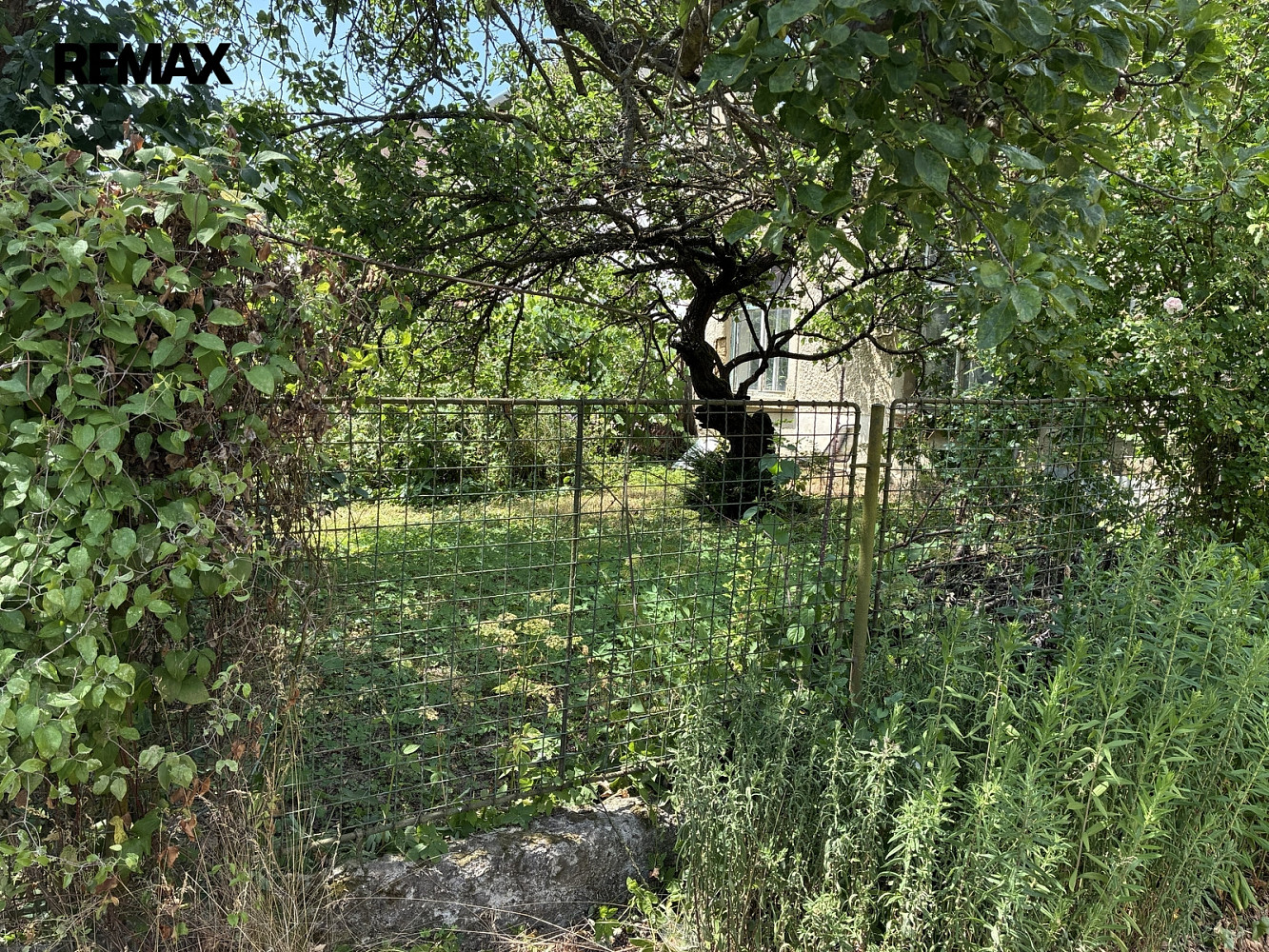 Prodej stavebního pozemku 779 m² – fotografie 2