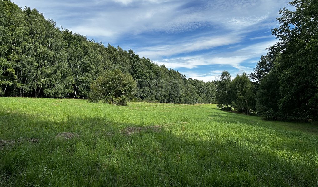 Prodej louky 7 691 m², Petrovice u Karviné – náhled fotky 3