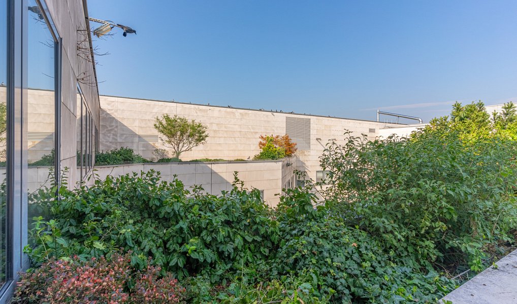 Pronájem kanceláře 674 m², Praha – náhled fotky 11