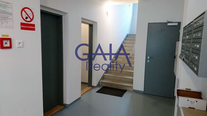 Pronájem bytu 1+kk 30 m² – fotografie 4