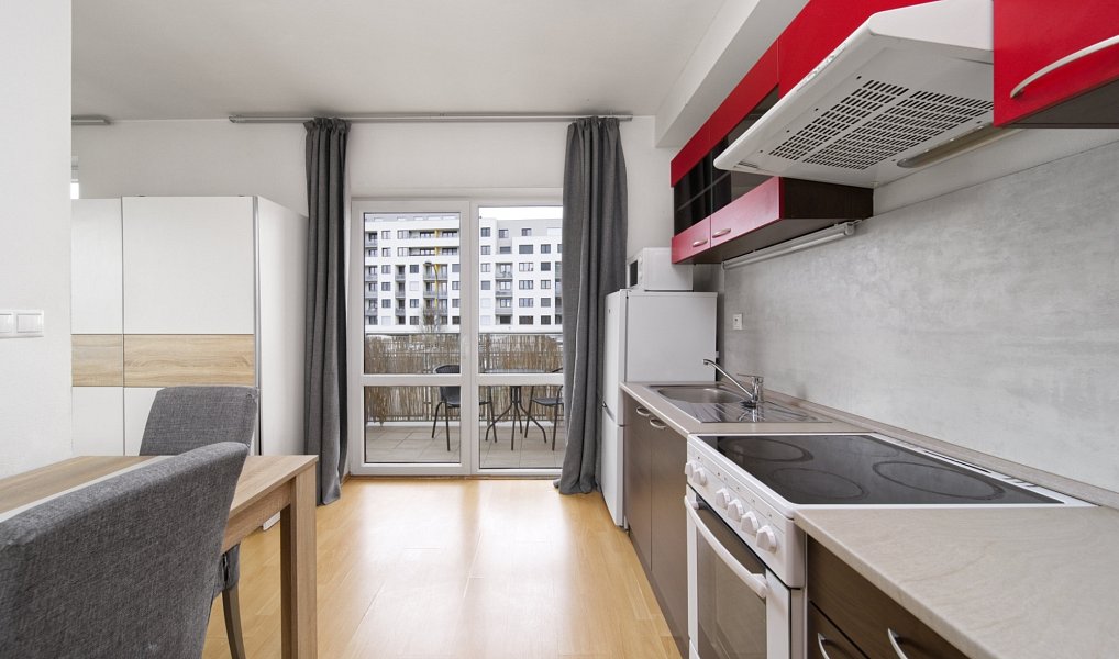 Pronájem bytu 1+kk 30 m², Plzeň – náhled fotky 2