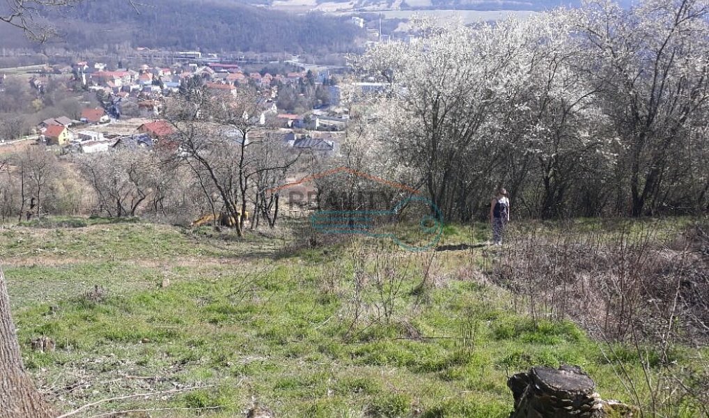 Prodej pozemku 8 255 m², Vráž – náhled fotky 3