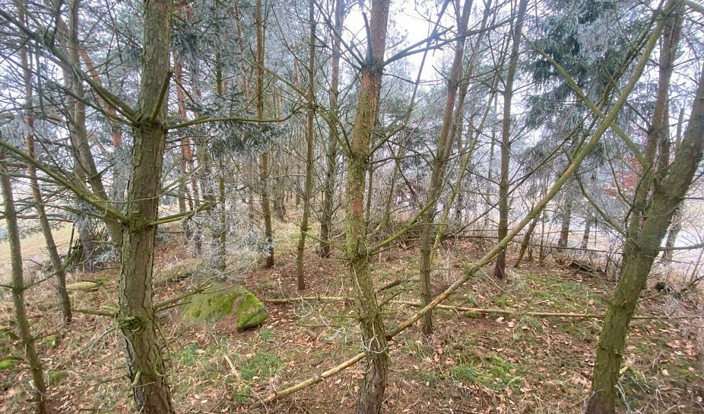 Prodej pole 13 059 m², Slatina – náhled fotky 4