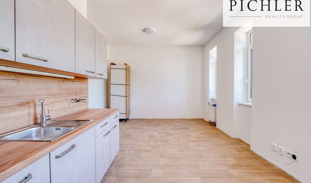 Pronájem bytu 1+kk 35 m², Horní Bříza – náhled fotky 2