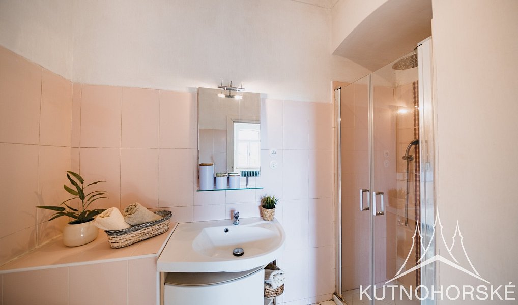 Prodej domu 414 m² s pozemkem 1 000 m², Velenka – náhled fotky 18